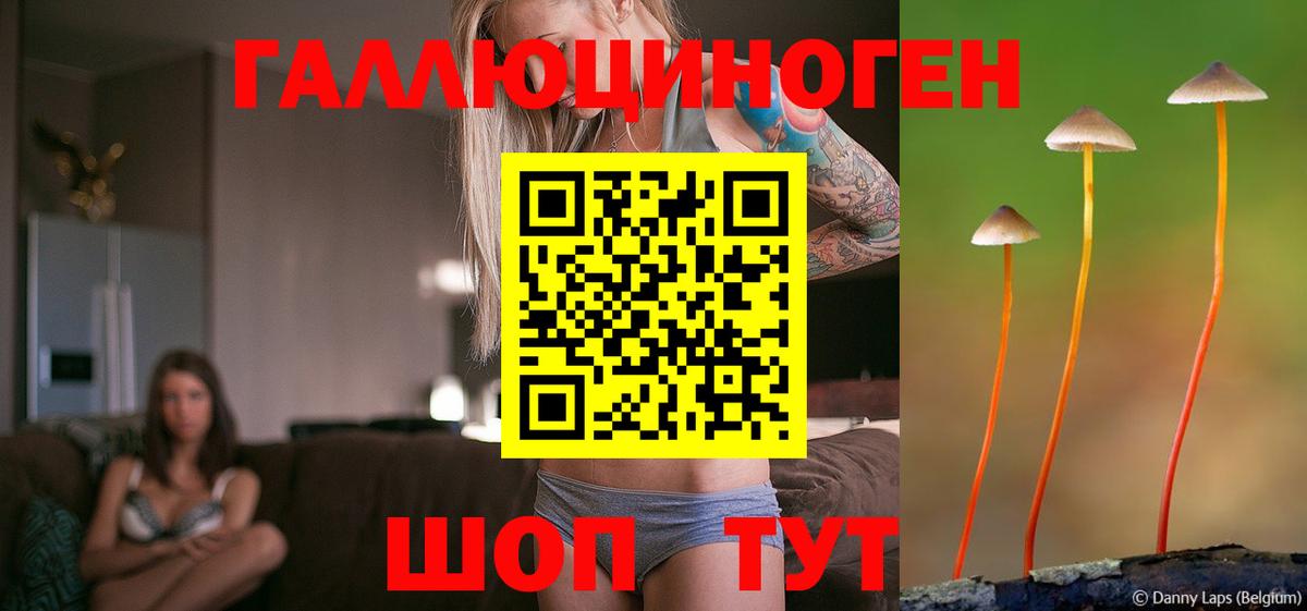 Галлюциногенные грибы прущие грибы Родники